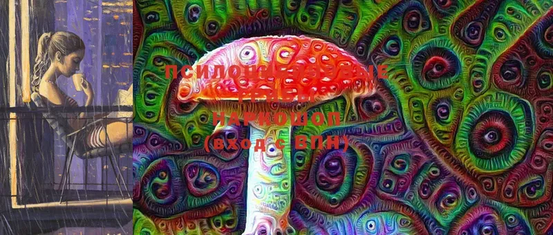 купить закладку  Соликамск  Псилоцибиновые грибы Psilocybe 